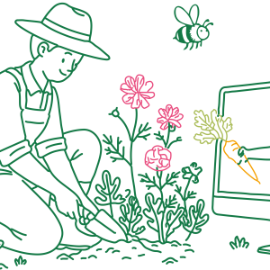 Démarrer un potager productif
