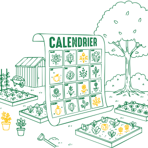 Optimiser son temps de jardinage